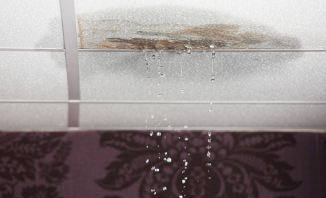 Plumber Hawthorn East